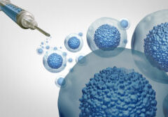 Stem Cells Therapy Stem cells therapy or cell treatment and biology as a multicellular embryonic concept or adult organismas a symbol for cellular therapies as a 3D illustration.